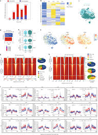 Download sb menguasai ips sistem kebut semalam edisi google books instagram syahrulcs7 pdf diupload kemendikbud pada 25 november 2019 di folder document 48 99 mb. Chemotherapy Induced Transposable Elements Activate Mda5 To Enhance Haematopoietic Regeneration Nature Cell Biology