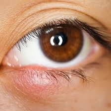 20 dakika civarı kapak kapalı şekilde bekletilmelidir. Goz Kapaginda Yag Bezesi Tedavisi Ve Ameliyati Medicana