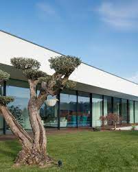 Devido à pandemia, é permitida a. Arouca House All Seeing Eye Filipe Xavier Oliveira Archello