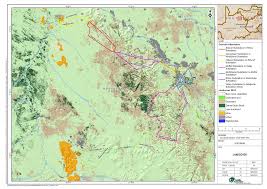 Image result for Chascanum adenostachyum
