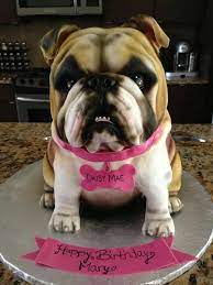Check spelling or type a new query. Bulldog Fondant Cake Dog Cakes Bulldog Cake Animal Cakes