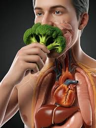 You Are What You Eat Disabled Guy Eats Broccoli