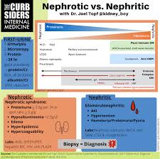 Chronic glomerulonephritis is characterized pathologically by varying degrees of glomerular scarring that is always accompanied by cortical tubular atrophy, interstitial fibrosis, interstitial infiltration by chronic inflammatory cells, and arteriosclerosis. 250 Nephrotic Syndrome Vs Glomerulonephritis With Kidney Boy Dr Joel Topf