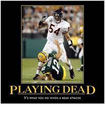 Everything we talk about is about beating the packers, the bears and the vikings. Bears Vs Packers Funny Memes