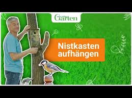 Ansonsten sollten nistkästen spätestens im märz aufgehängt werden. Nistkasten Aufhangen Eine Anleitung Youtube