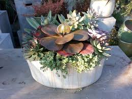We did not find results for: Diy Succulent Dish Gardens Tended