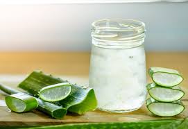 Resultado de imagen de aloe vera