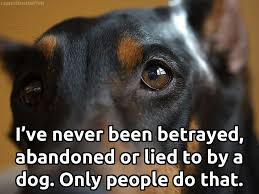 i trust animals much more than humans with an animal i know where i stand with humans god know where i stand sorry i do dogs dog quotes therapy dogs