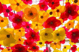 Maybe you would like to learn more about one of these? Pictures Of 50 Jaw Dropping Blown Glass Flowers Home Stratosphere
