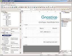 The tools include a report engine, report designer, and a previewer. Gnostice Edocengine Vcl Developer Guide