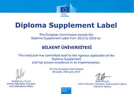 Select from the examples below to see a diploma supplement in your language. En Bilkent University Diploma Supplement