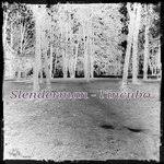 Direct download via magnet link. Slenderman L Incubo Details