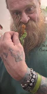 The Snake Pit Duluth