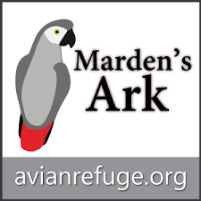 As a known avian veterinarian, she has over 30 years of experience in treating reptiles, small mammals and birds. Avian And Exotic Animal Care Home Facebook