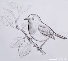 learning to sketch is the basis of painting page 33 of 56 catideas hayvan eskizleri cizimler kolay cizimler