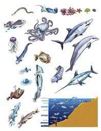 Pin On Ocean Love
