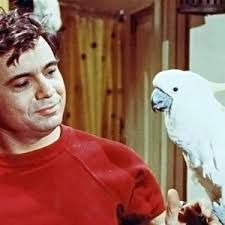 I miss the old shows- everything