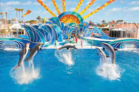 San Diego Discount Tickets Best San Diego Discount Ticket Deals
