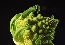 Are you searching for green broccoli png images or vector? Romanesco Broccoli Romanesco Broccoli Roman Cauliflower Brassica Oleracea Cauliflower Light Green Fractal Vegetable Vitamins Pxfuel