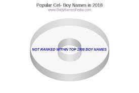 Cecilia is a feminine form of cecil, which was derived from a roman clan name related to the latin caecus, meaning blind. View Boy Names Starting With Cel At Baby Names Pedia With Concise Name Meanings Origins Pronunciation And Charts