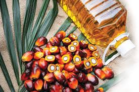 Palm oil is a hidden ingredient in almost every way it is used: Spotlight On Palm Oil Healthy Food Guide