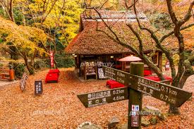 We would like to show you a description here but the site won't allow us. æ°´è°·èŒ¶å±‹ã®ç´…è'‰ å†™çœŸç´ æ 4474927 ãƒ•ã‚©ãƒˆãƒ©ã‚¤ãƒ–ãƒ©ãƒªãƒ¼ Photolibrary