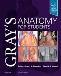 The human body coloring book: Gray S Anatomy For Students 9780323393041 Elsevier Health