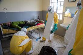 Ebola virus disease (evd) is a rare and deadly disease in people and nonhuman primates. Febre Hemorragica De Marburg Medicos Sem Fronteiras