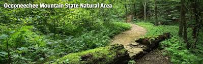 * breaks interstate park is not managed by dcr's virginia state parks. Occoneechee Mountain State Natural Area Nc State Parks