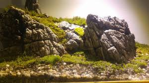 Akvaryum Fon Akvaryum Fon Twitter Akvaryum Terrarium Ve Duzenleme