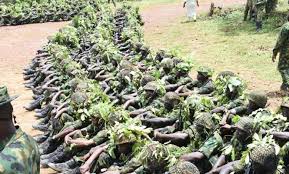 Training establishments in nigeria include the prestigious officer entry nigerian defence academy at kaduna, the armed forces command and staff college, jaji, and the national war college at abuja. 5vnelxeglgqhrm