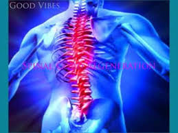 Youtube Guarigione Riflessologia