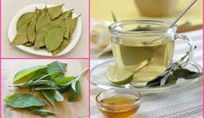 Puedes cocinar utilizando la hoja de laurel entera, pero asegúrate de quitar las hojas enteras de laurel de tu plato antes de servir para evitar que se ahogue. Infusion De Salvia Y Laurel Para Adelgazar Y Tener Un Vientre Plano Cosmo