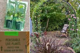 You'll love our great select of plants at the lowest prices. Nursery Near Me Open Late