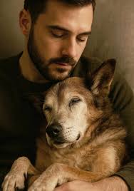 Blind dachshund rescue story