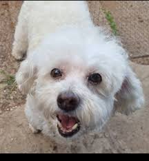 This is so sad. We had our minor disagreements but he (the owner) was such  a character and kind. Posting here as i know many of you knew him