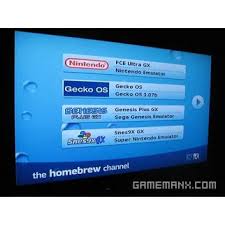 Know someone who doesn't seem interested in video games? How To Download Wii Games For Free To Your Wii Console Using The Homebrew Channel Altered Gamer