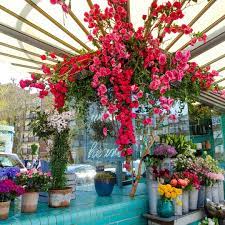 Greater la is home to many of the biggest rock bands in the history of the united states. Sunshine Flowers The Perfect Combination Makes All The Difference When The Sun Is Shining London Flower Display Things To Do In London Flowers