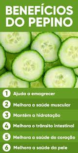 pin em dieta
