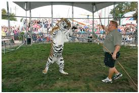 See more of big cat habitat gulf coast sanctuary on facebook. Big Cat Habitat Gulf Coast Sanctuary Kay Rosaire Clayton Rosaire 911 Animal Abuse