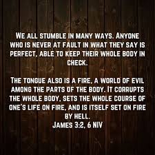 What does the bible say about friends and friendship? James 3 2 6 Inspirational Quotes About Friendship Gospel Quotes Spiritual Words