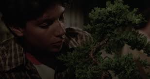 The Secret of Miyagi: Lessons to build your software career