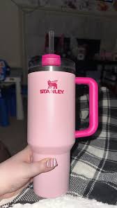 Stanley Tumbler Hack for Keeping Ice