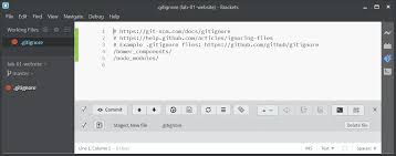 Creating The Folder Structure And Initial Files Practicalseries Brackets Git And Github
