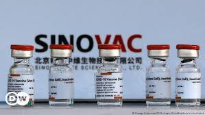 These vero cells, after the growth, are treated many times to make it. Coronavirus Who Approves Sinovac Covid Vaccine For Emergency Use News Dw 01 06 2021