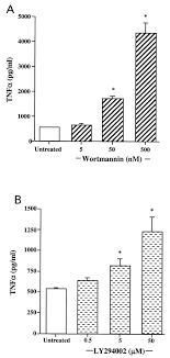 Deanna weiss & chloe milburn— presentation transcript Evidence That Rheumatoid Arthritis Synovial T Cells Are Similar To Cytokine Activated T Cells Involvement Of Phosphatidylinositol 3 Kinase And Nuclear Factor Kb Pathways In Tumor Necrosis Factor A Production In Rheumatoid Arthritis
