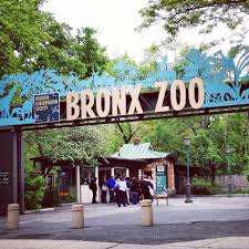 Bronx Zoo New York Travel Guide New York City Travel Bronx Zoo