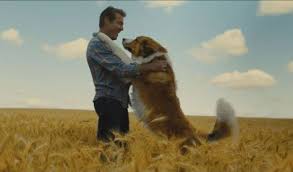 Helyen áll a filmek toplistáján! Egy Kutya Negy Utja Jegy Hu