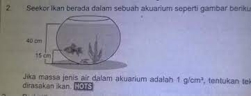 Tersedia ✓ gratis ongkir ✓ pengiriman sampai di hari yang sama. Seekor Ikan Berada Dalam Sebuav Akuarium Seperti Gambar Di Atas Jika Massa Jenis Air Dalam Akuarium Brainly Co Id