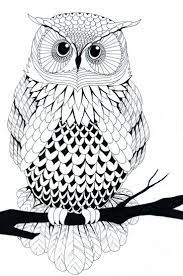 owl line art coloriage chouette hibou animaux petite licorne